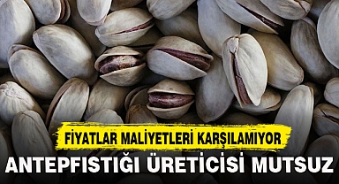 ANTEPFISTIĞI ÜRETİCİSİ MUTSUZ