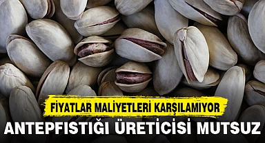 ANTEPFISTIĞI ÜRETİCİSİ MUTSUZ