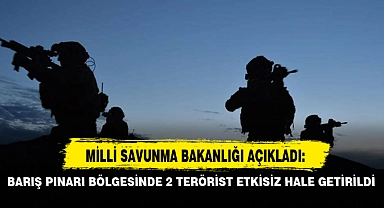 BARIŞ PINARI BÖLGESİNDE 2 TERÖRİST ETKİSİZ HALE GETİRİLDİ