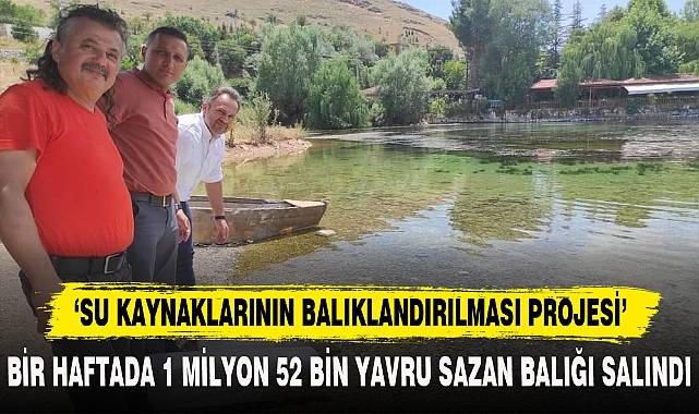 BİR HAFTADA 1 MİLYON 52 BİN YAVRU SAZAN BALIĞI SALINDI