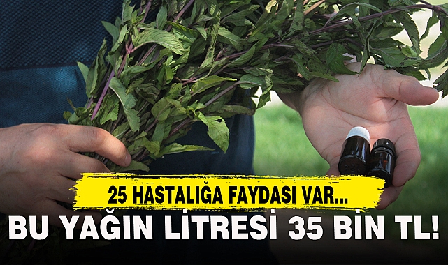 BU YAĞIN LİTRESİ 35 BİN TL!