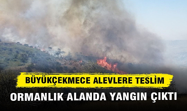 BÜYÜKÇEKMECE ALEVLERE TESLİM