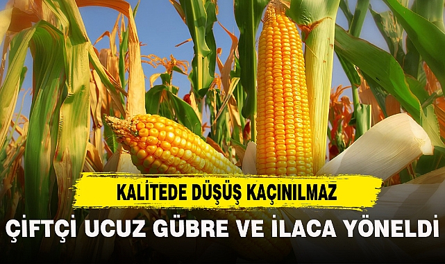 ÇİFTÇİ "UCUZ" GÜBRE VE İLACA YÖNELDİ VERİM VE KALİTEDE DÜŞÜŞ KAÇINILMAZ