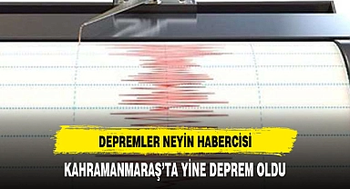 DEPREMLER NEYİN HABERCİSİ