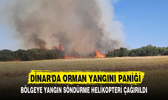DİNAR'DA ORMAN YANGINI PANİĞİ