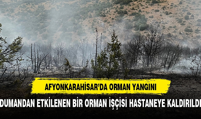DUMANDAN ETKİLENEN BİR ORMAN İŞÇİSİ HASTANEYE KALDIRILDI