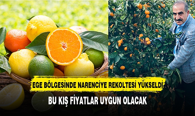 EGE BÖLGESİNDE NARENCİYE REKOLTESİ ARTTI
