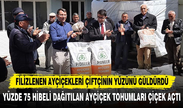 FİLİZLENEN AYÇİÇEKLERİ ÇİFTÇİNİN YÜZÜNÜ GÜLDÜRDÜ
