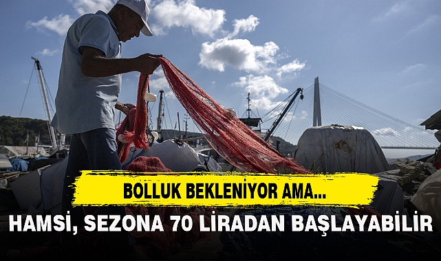 HAMSİ, SEZONA 70 LİRADAN BAŞLAYABİLİR