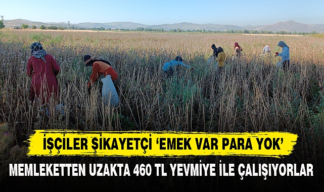 İŞÇİLER ŞİKAYETÇİ ‘EMEK VAR PARA YOK’