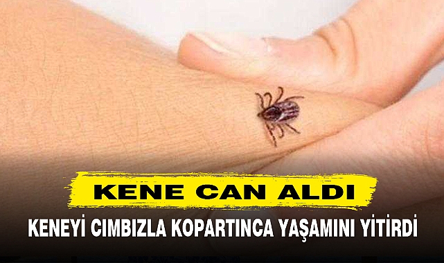 KENE CAN ALDI