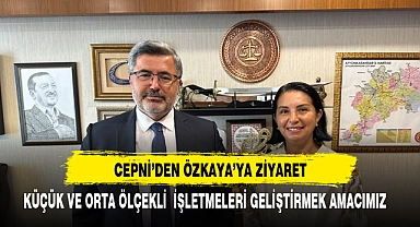 KOSGEB MÜDÜRÜ ÇEPNİ'DEN ÖZKAYA'YA ZİYARET