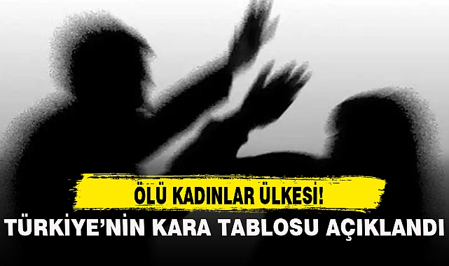 TÜRKİYE'NİN KARA TABLOSU AÇIKLANDI