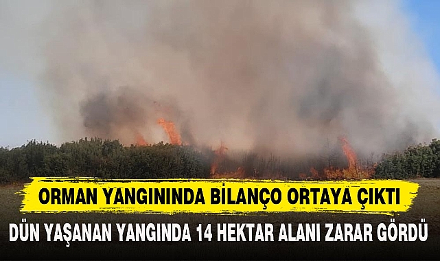 ORMAN YANGININDA BİLANÇO ORTAYA ÇIKTI