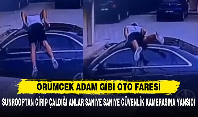 ÖRÜMCEK ADAM GİBİ OTO FARESİ
