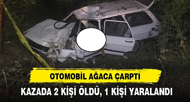 OTOMOBİL AĞACA ÇARPTI, 2 KİŞİ ÖLDÜ, 1 KİŞİ YARALANDI