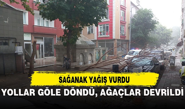SAĞANAK YAĞIŞ YOLLARI GÖLE ÇEVİRDİ, AĞAÇLARI DEVİRDİ