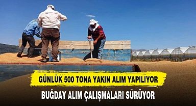 Sandıklı'da TMO arpa ve buğday alımına devam ediyor
