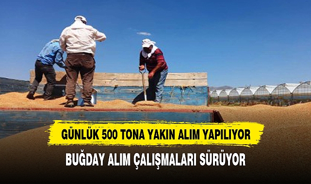 Sandıklı'da TMO arpa ve buğday alımına devam ediyor
