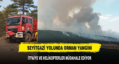 SEYİTGAZİ YOLUNDA ORMAN YANGINI BÜYÜYOR