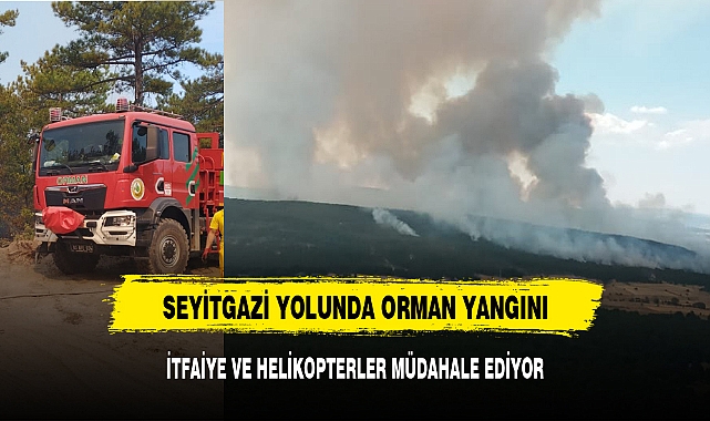 SEYİTGAZİ YOLUNDA ORMAN YANGINI BÜYÜYOR