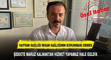 ŞİDDETE MARUZ KALMAKTAN HİZMET YAPAMAZ HALE GELDİK