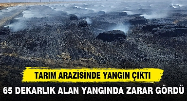 TARIM ARAZİSİNDE YANGIN ÇIKTI