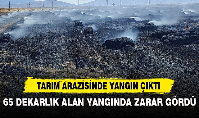 TARIM ARAZİSİNDE YANGIN ÇIKTI