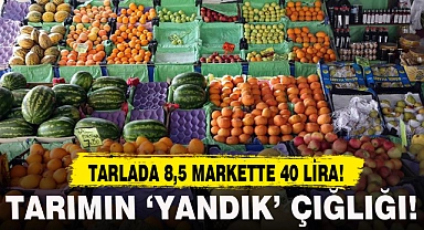 TARIMIN 'YANDIK' ÇIĞLIĞI!