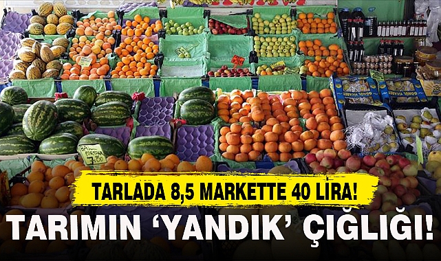 TARIMIN 'YANDIK' ÇIĞLIĞI!