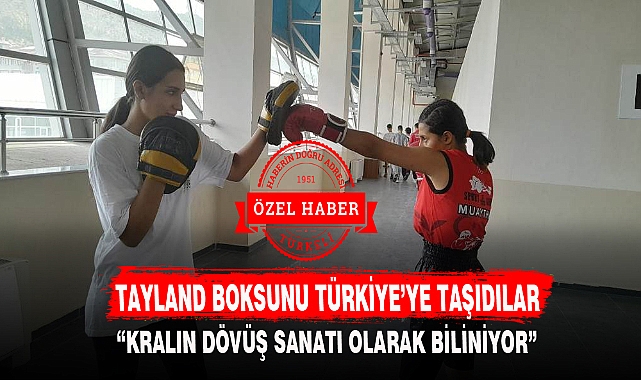 TAYLAND BOKSUNU TÜRKİYE'YE TAŞIDILAR