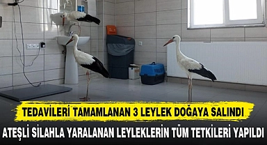 TEDAVİLERİ TAMAMLANAN 3 LEYLEK DOĞAYA SALINDI