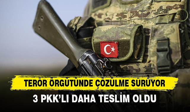 TERÖR ÖRGÜTÜNDE ÇÖZÜLME SÜRÜYOR