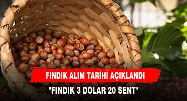 TMO FINDIK ALIM FİYATINI AÇIKLADI