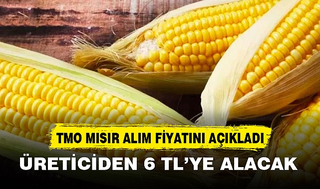 TMO MISIR ÜRETİCİSİNİ ÜZDÜ