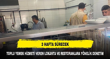 TOPLU YEMEK HİZMETİ VEREN LOKANTA VE RESTORANLARA YÖNELİK DENETİM