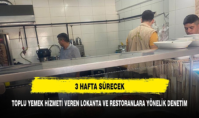 TOPLU YEMEK HİZMETİ VEREN LOKANTA VE RESTORANLARA YÖNELİK DENETİM