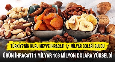 TÜRKİYE'NİN KURU MEYVE İHRACATI 1,1 MİLYAR DOLARI BULDU