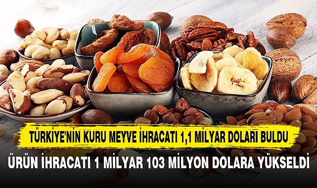 TÜRKİYE'NİN KURU MEYVE İHRACATI 1,1 MİLYAR DOLARI BULDU