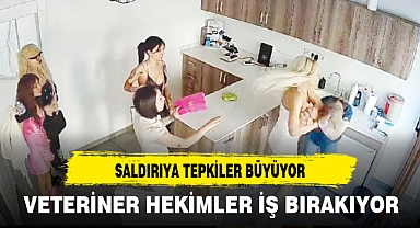 VETERİNER HEKİMLER İŞ BIRAKIYOR