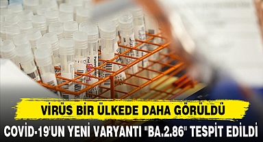 VİRÜS BİR ÜLKEDE DAHA GÖRÜLDÜ