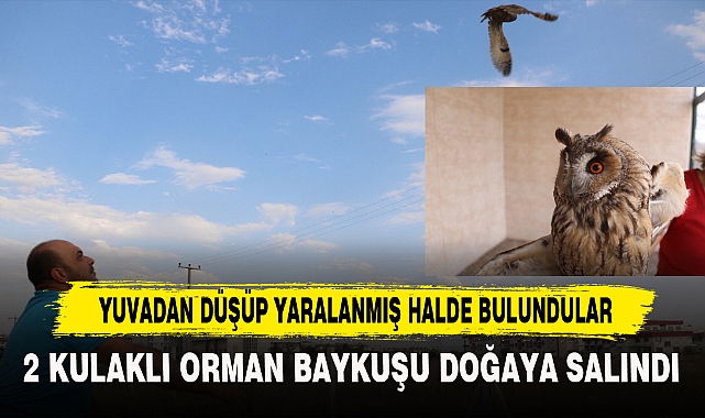 YUVADAN DÜŞÜP YARALANMIŞ HALDE BULUNDULAR