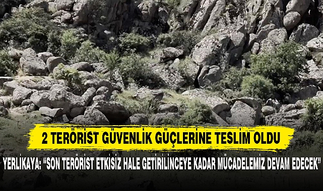 2 TERÖRİST GÜVENLİK GÜÇLERİNE TESLİM OLDU