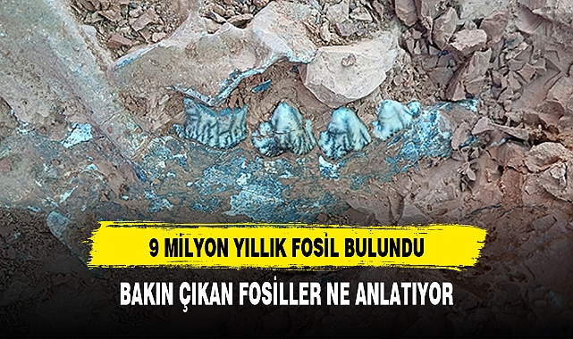 9 MİLYON YIL ÖNCESİNE AİT FOSİLLER BULUNDU