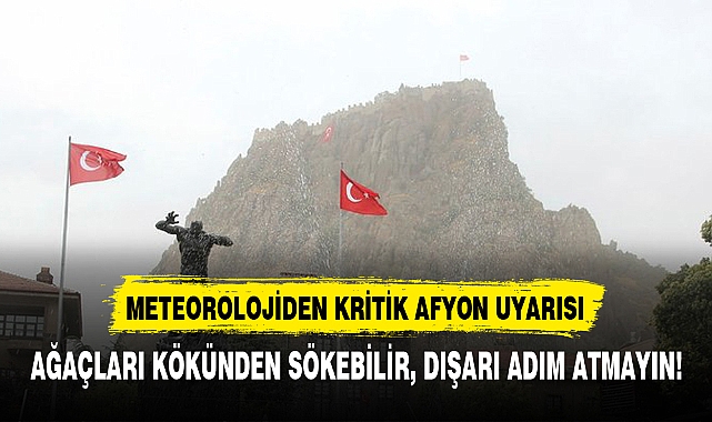 AĞAÇLARI KÖKÜNDEN SÖKEBİLİR, DIŞARI ADIM ATMAYIN!