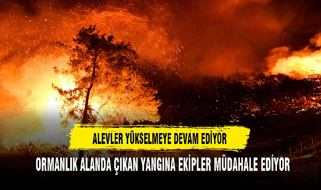 ALEVLER YÜKSELMEYE DEVAM EDİYOR