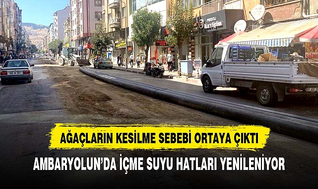 AMBARYOLUN'DA AĞAÇLAR NEDEN KESİLDİ ?