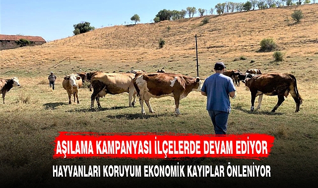 AŞILAMA KAMPANYASI İLÇELERDE DEVAM EDİYOR
