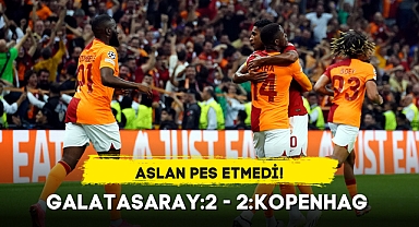 ASLAN PES ETMEDİ!