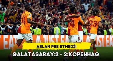 ASLAN PES ETMEDİ!